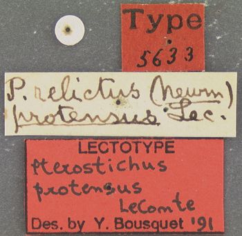 Media type: image;   Entomology 5633 Aspect: labels